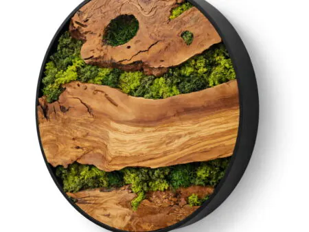 Round moss wall art olive wood preserved moss WOWbyALP