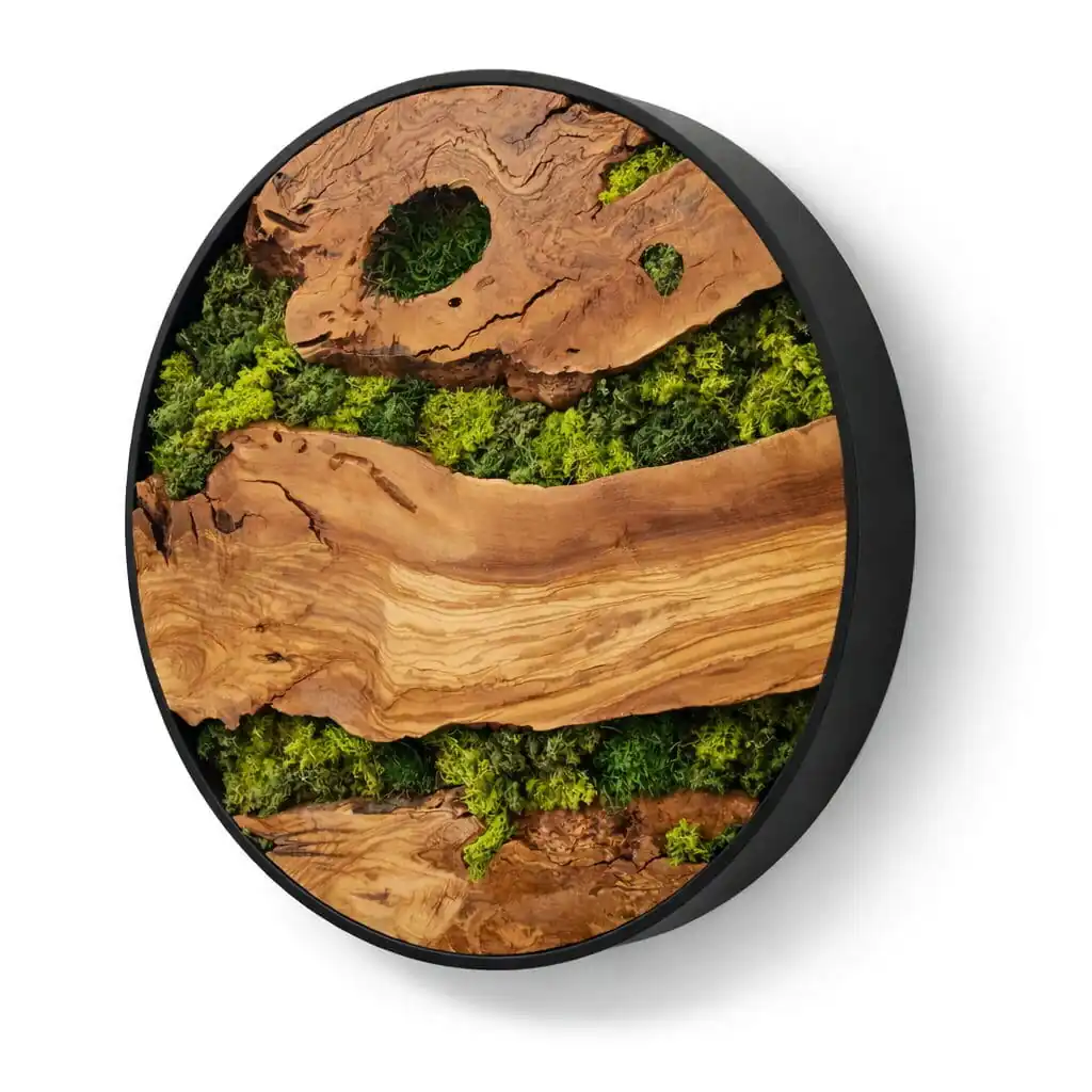 Round moss wall art olive wood preserved moss WOWbyALP